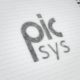 picsys Logoerstellung